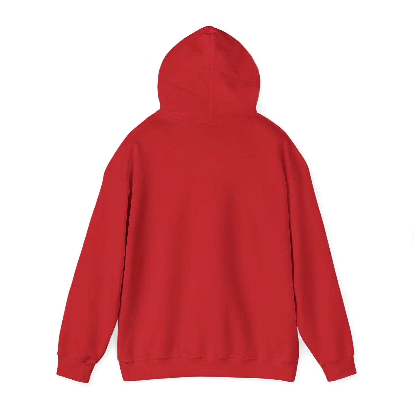 BLIMP HOODED SWEATSHIRT